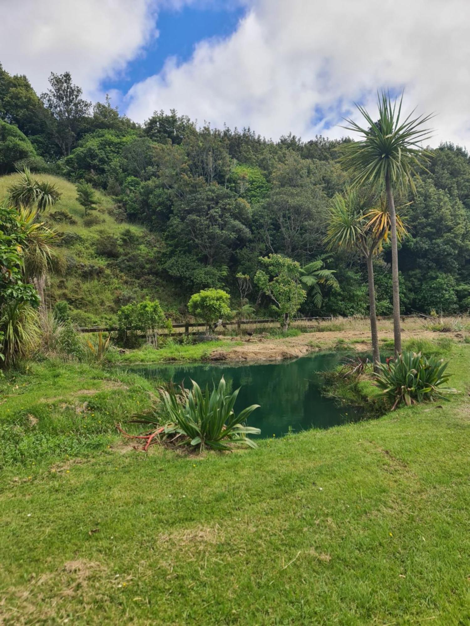 Tiny Home @ Matai Huka Paraparaumu Eksteriør billede